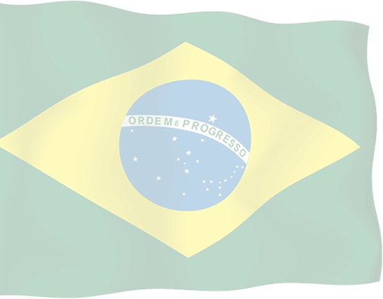 Brazilian Flag